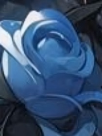 我想透过系统看看你