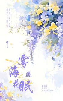 雾海照花眠