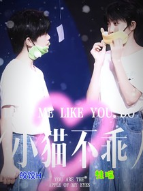 桂瑞：小猫不乖