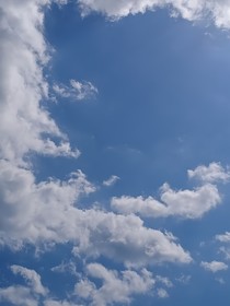 夏美在萌学园的故事