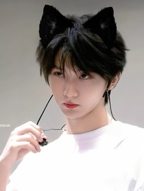 TNT：好一个金龟婿