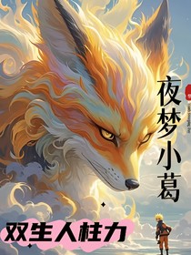 火影：双生人柱力