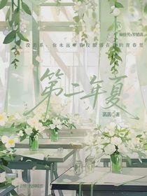 第二年夏……