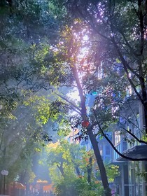 哥哥，别再把我抛弃了-d358