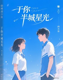 予你半城星光