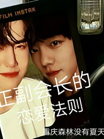 正副会长的恋爱法则