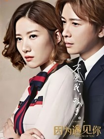 因为遇见你之此生为你