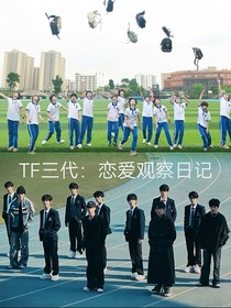 TF三代：恋爱观察日记