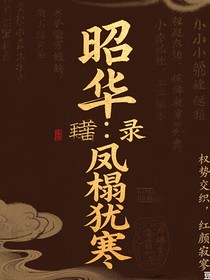 昭华录：凤榻犹寒