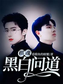 棋魂：黑白问道