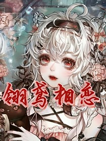 翎鸢相恋