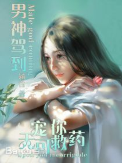 男神驾到:宠你无可救药