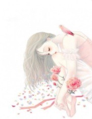 深情不知终负卿