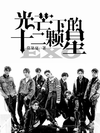 EXO:光芒下的十二颗星