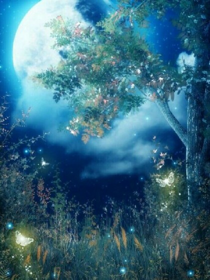 好听歌曲加歌词