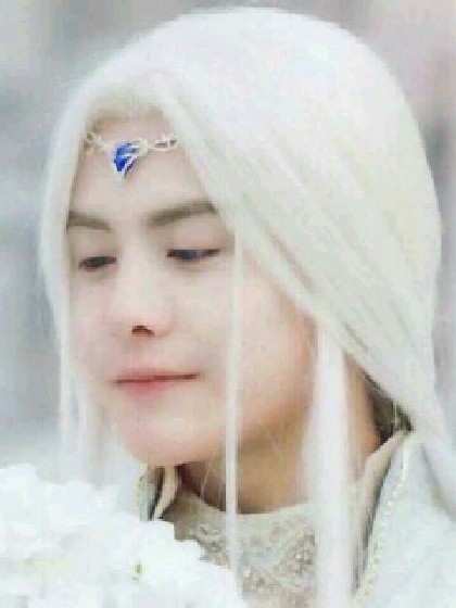 幻城同人之暗夜流光