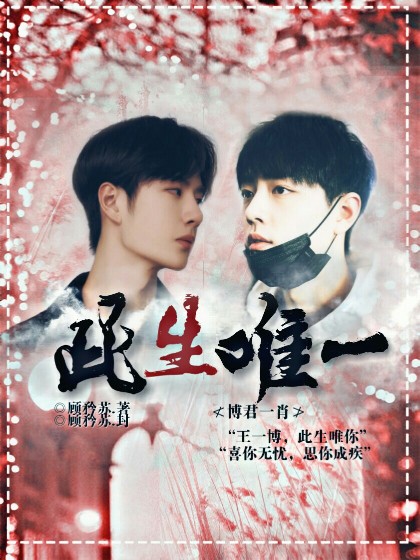 博君一肖.此生唯一