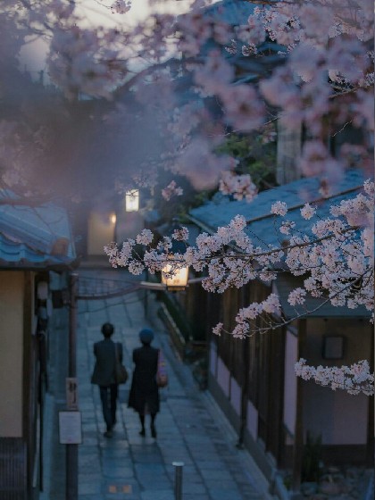 小欢喜：恰好钟意