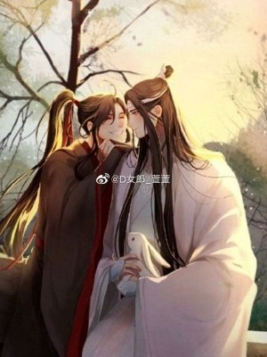 论忘羡的甜蜜生活