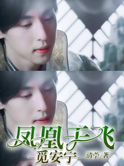 凤凰于飞觅安宁