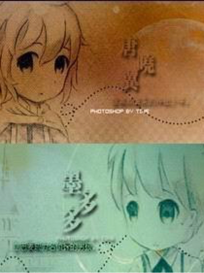 查理九世之新伙伴