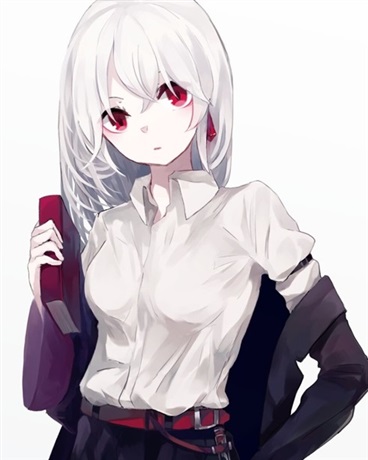 转生猎魔人与十二魔女