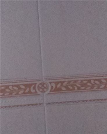 行尸走肉的清道夫