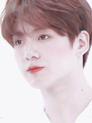 BTS:捕捉男友计划.