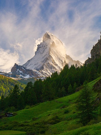 牡丹花开：兽世