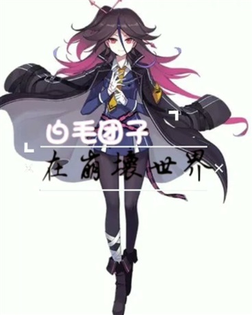 白毛团子在崩坏世界