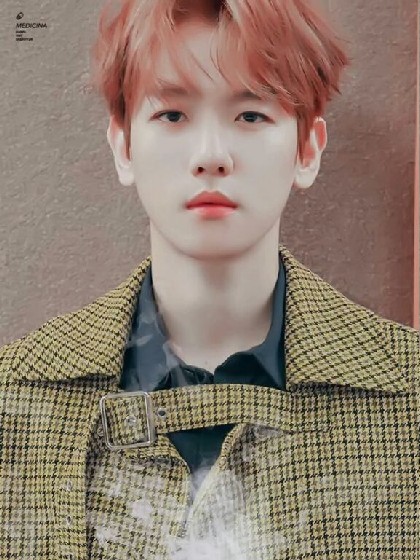 边伯贤总裁大人太宠妻