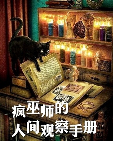疯巫师的人间观察手册