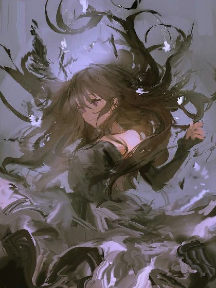 查理九世:破空之羽