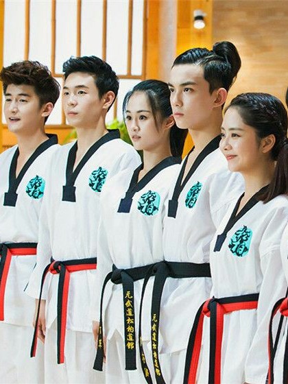 旋风少女之风云道馆