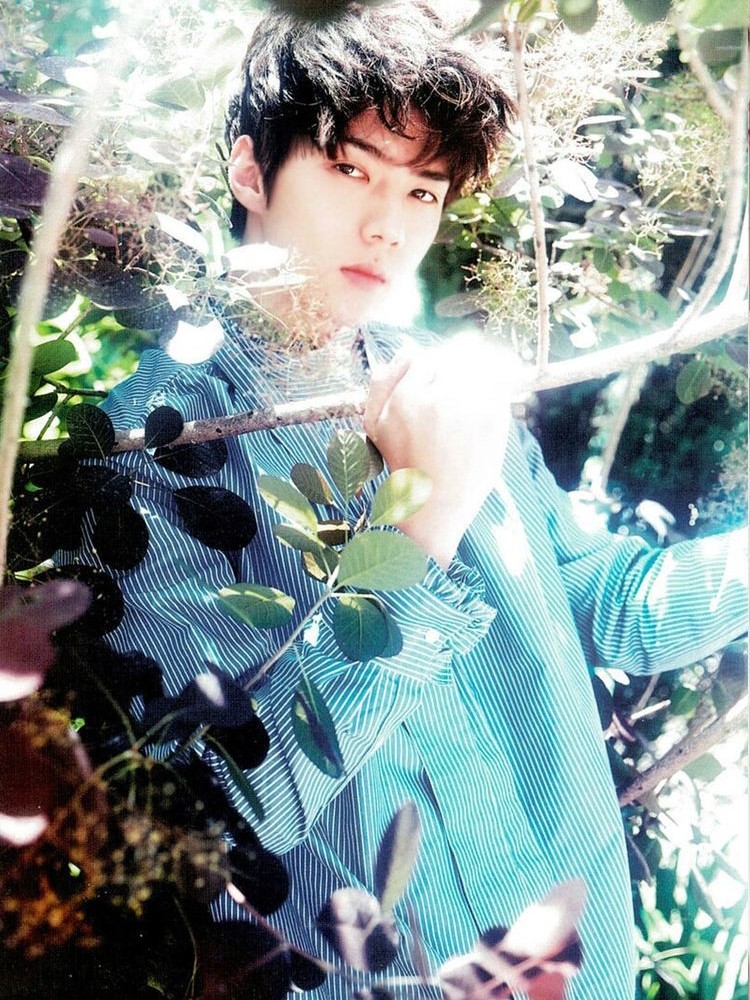 世勋：一路星辉只为你