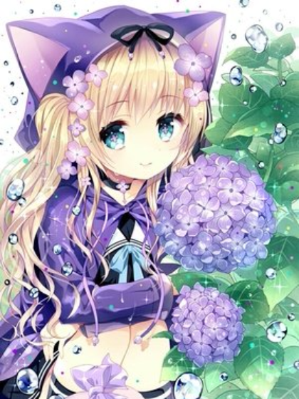 凹凸世界之抓住那只猫!