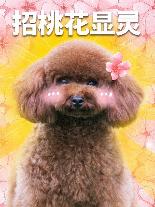 下一站是幸福(各自安好)