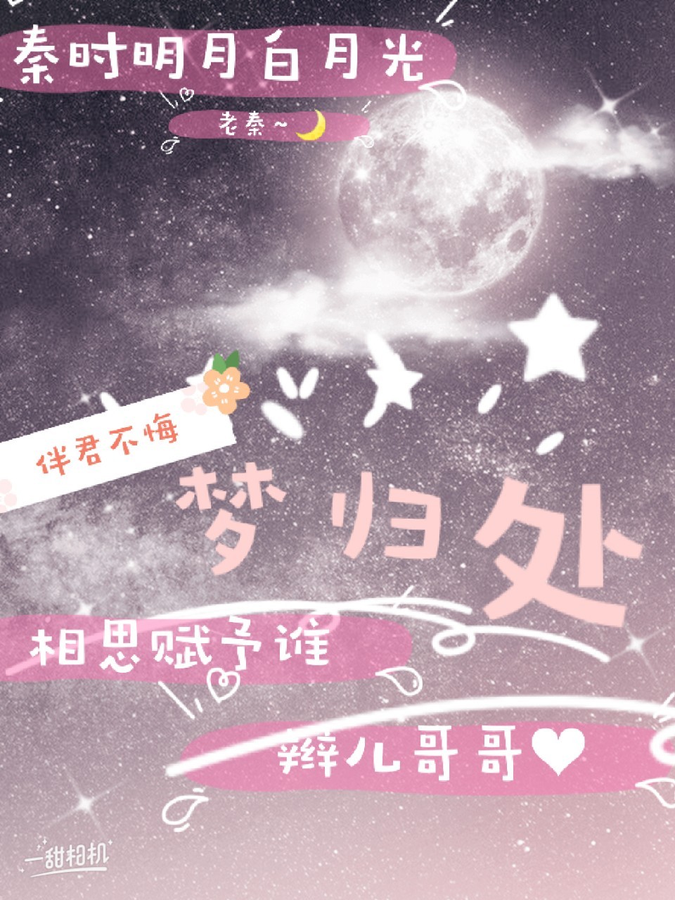 伴君不悔梦归处