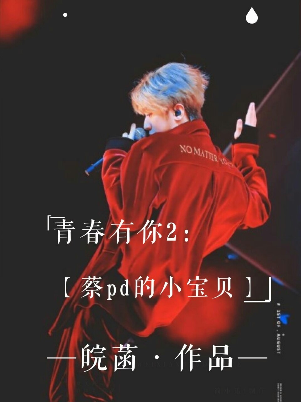 青春有你2：蔡pd的小宝贝