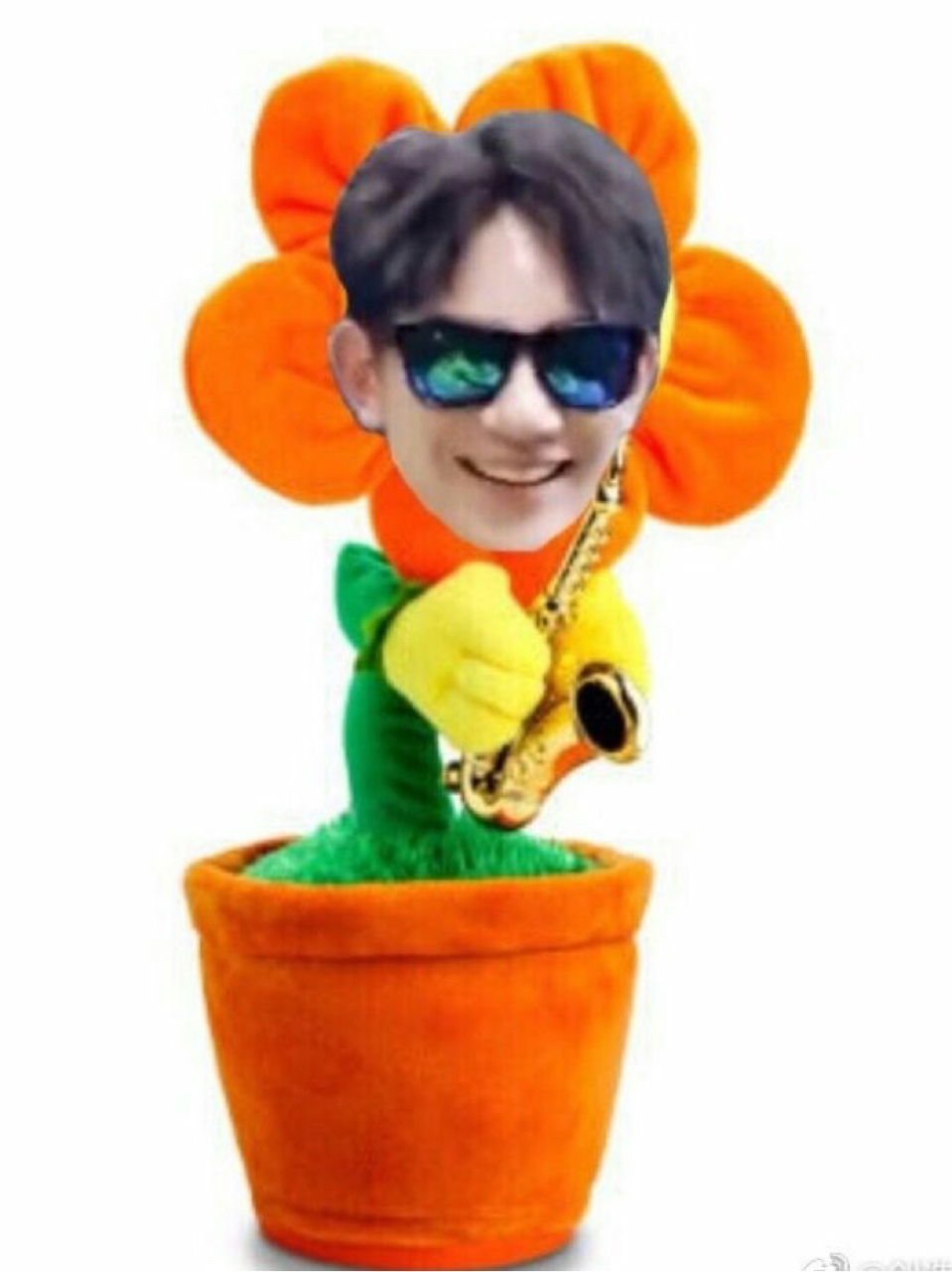 夏之光：漂亮姐姐等等我