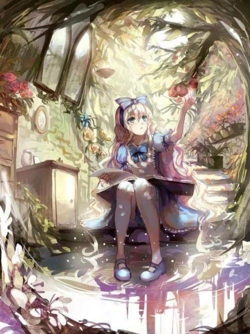 查理九世之秘密身份