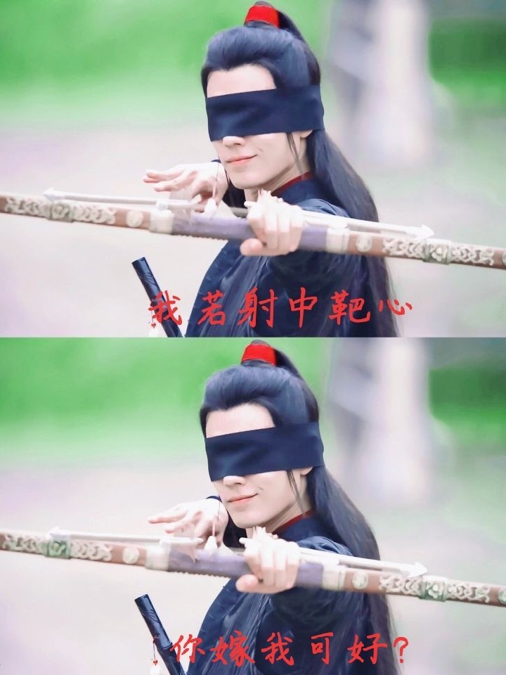 陈情令:我才不想开后宫