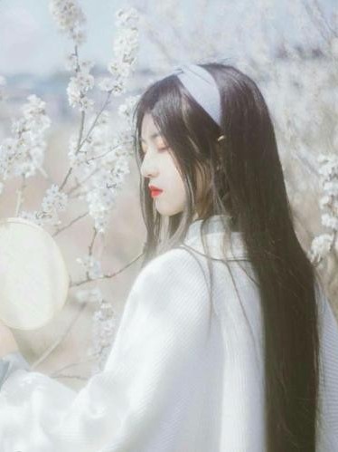 陈情令：绝代佳人