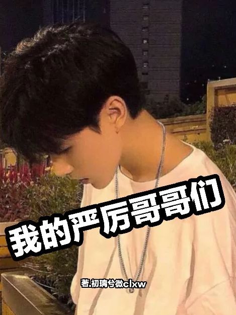 我的严厉哥哥们……