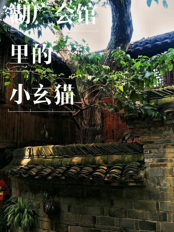 德云社：湖广会馆里的小玄猫