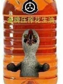 常行：科普向：SCP项目解析