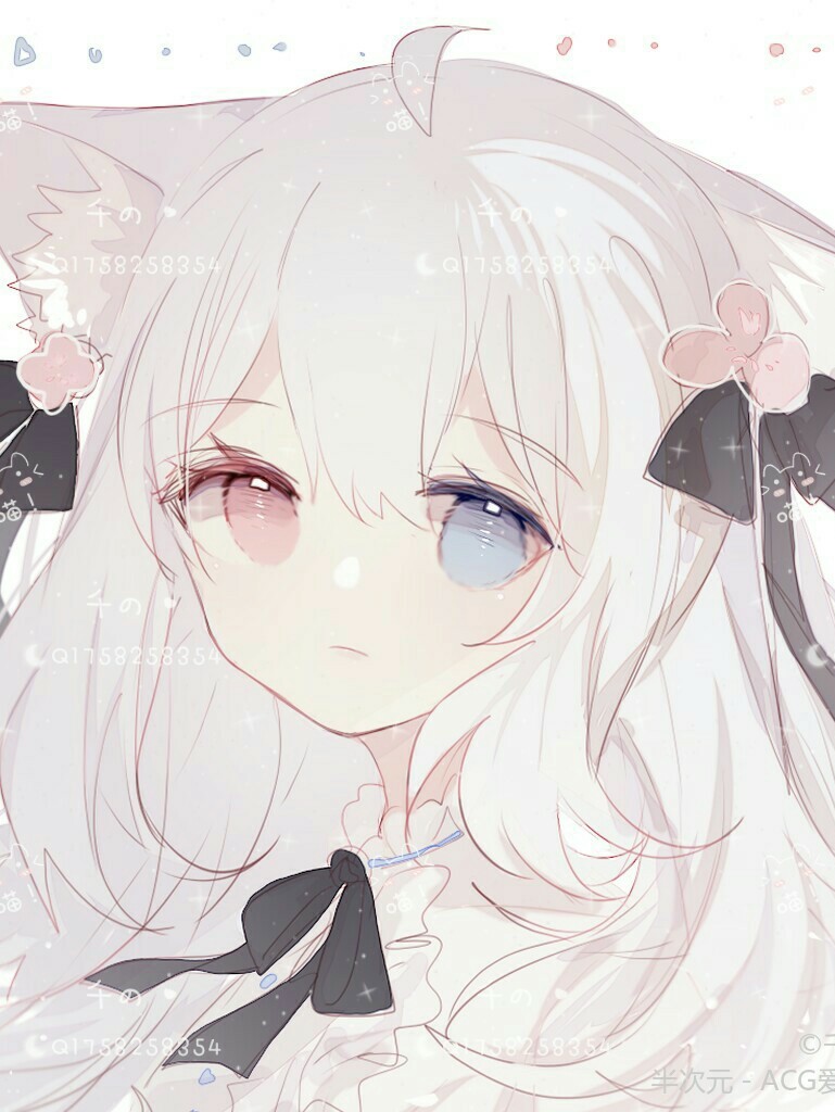 猫娘雨浩被发现