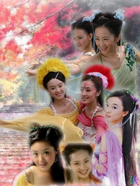 陈情令：七仙女下凡记